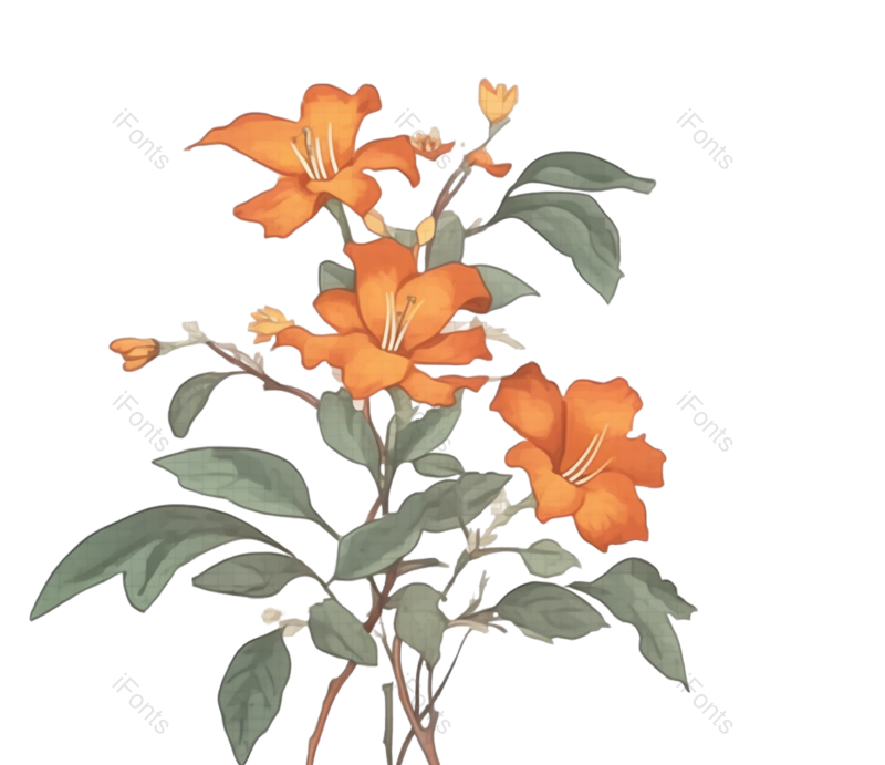 红色的花图片,白色背景元素,植物PNG,免抠素材
